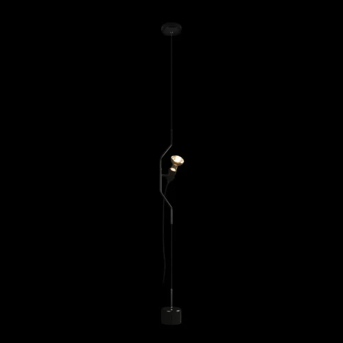 Светильник подвесной Parentesi 10346-1 Black LOFT IT без плафона 1 лампа, основание чёрное в стиле модерн на растяжку фото 2